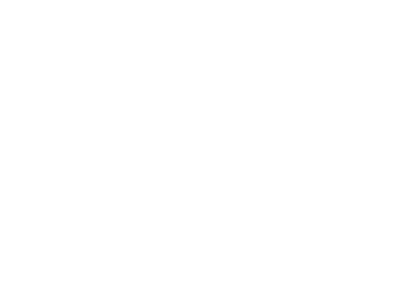 Virtuoos logo